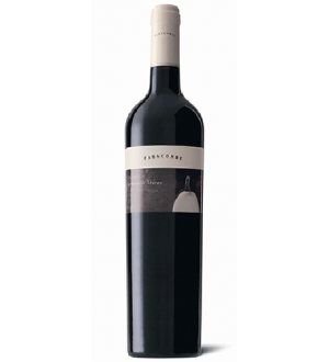 Paracombe Somerville Adelaide Hills Shiraz